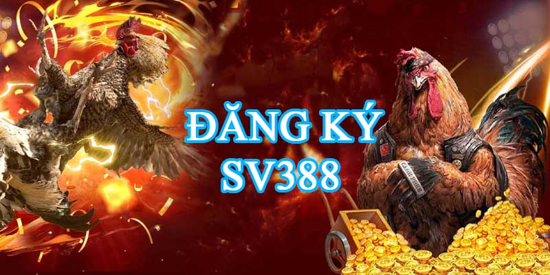 dangkySv388