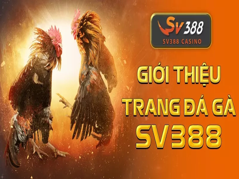 Những khuyến mãi siêu độc chỉ có ở SV388